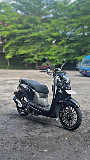 @Muezza.