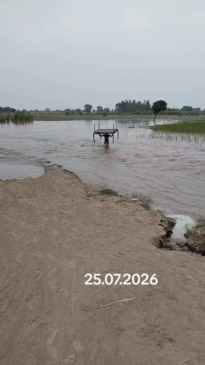 @Malik Bhai8423