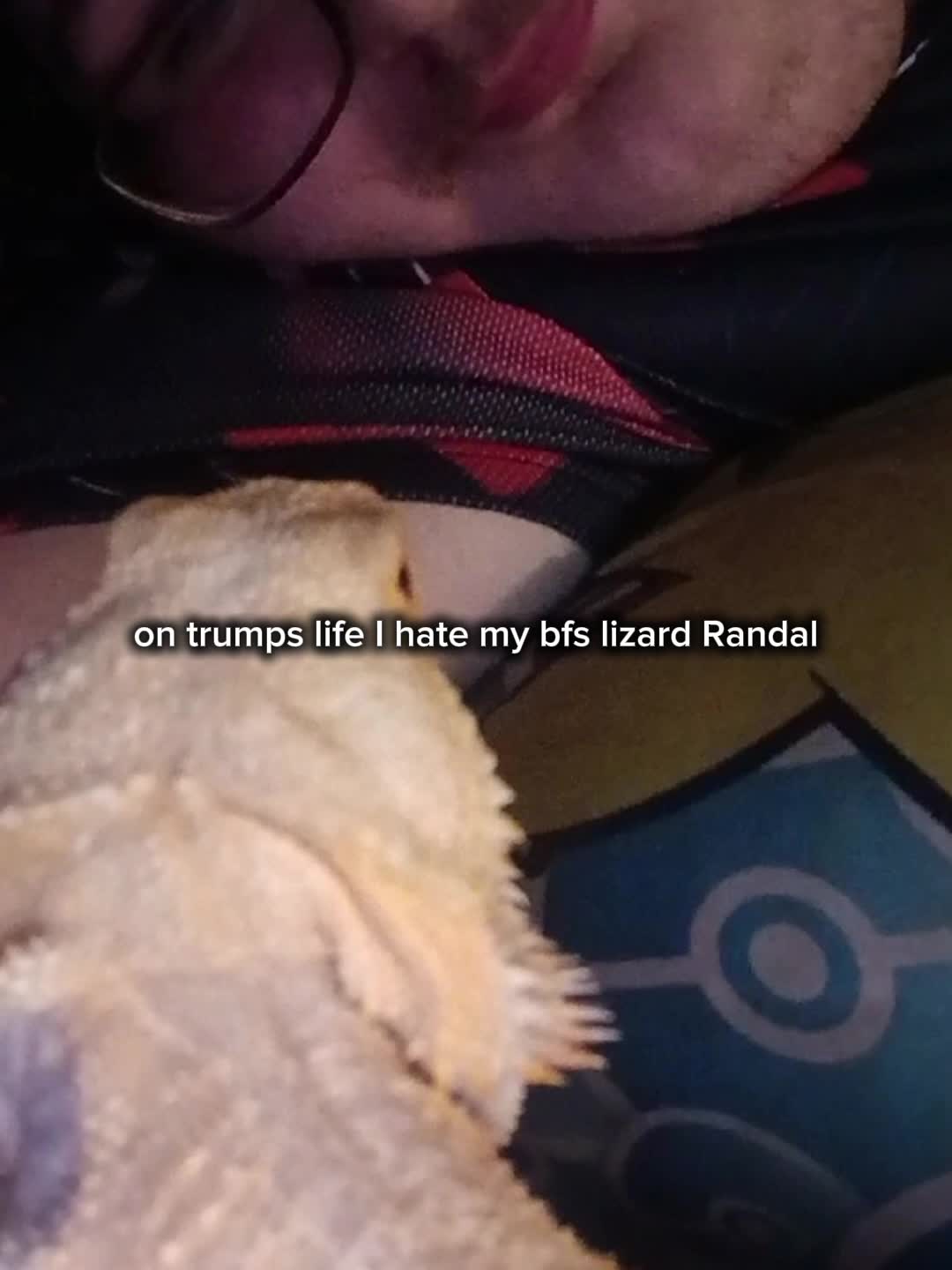 @🐦