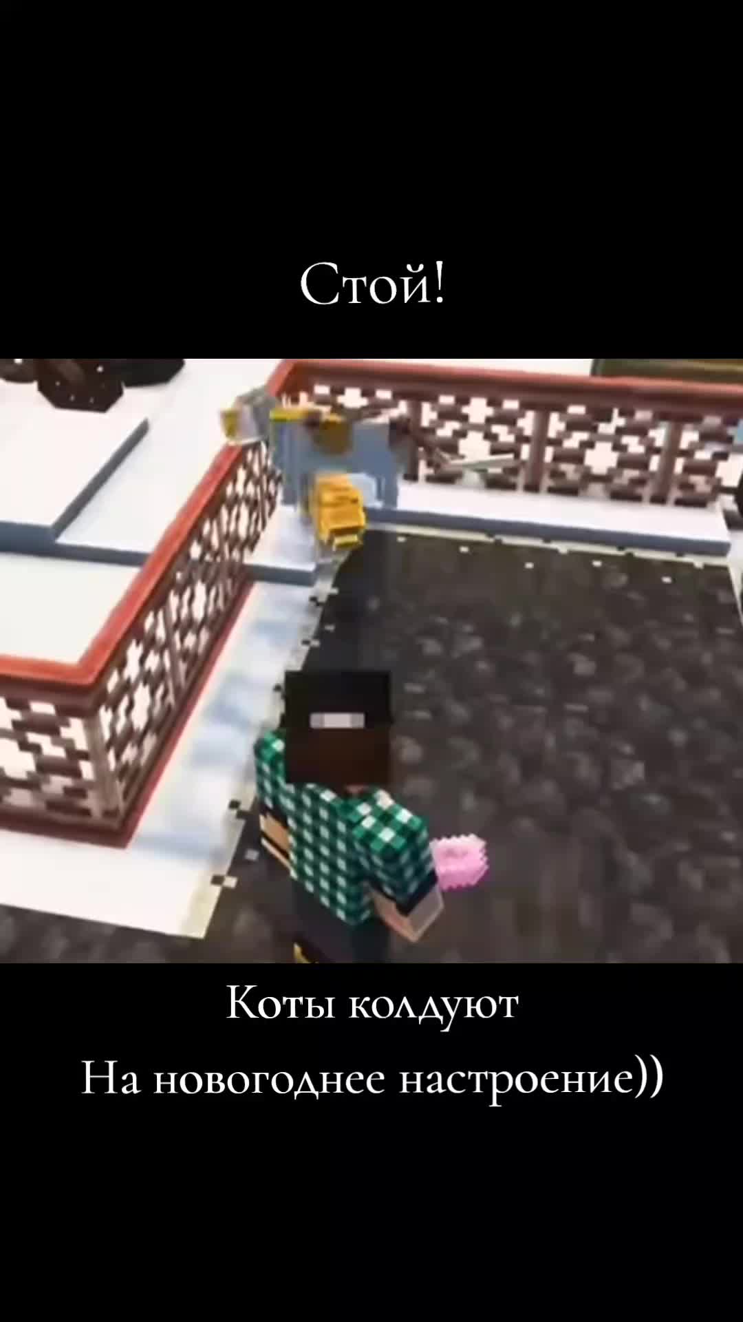 @kotleta🥑