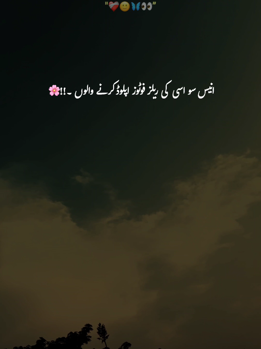 @-🕊️