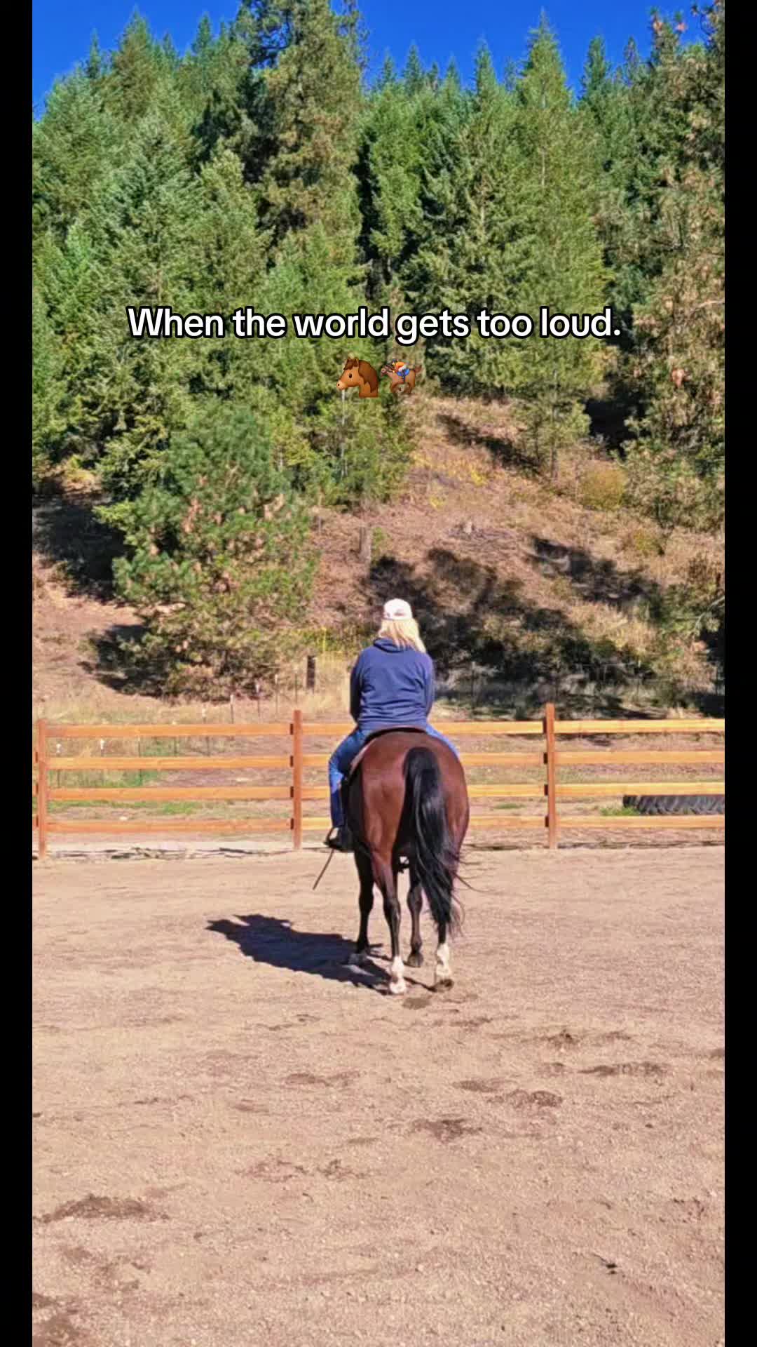 @🐴 ColdMountainRanch 🏇