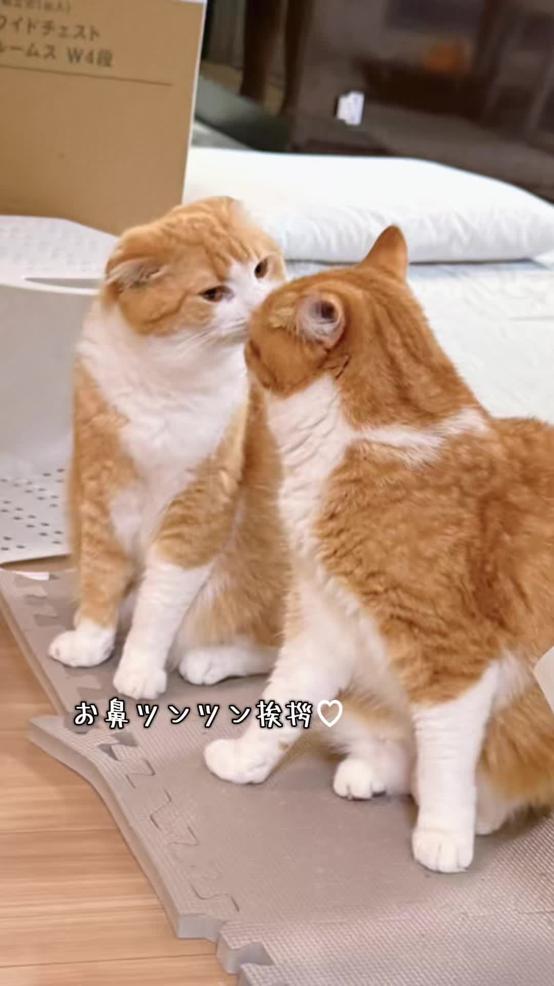 @マロン