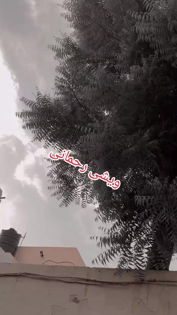@Rashid ramani 188