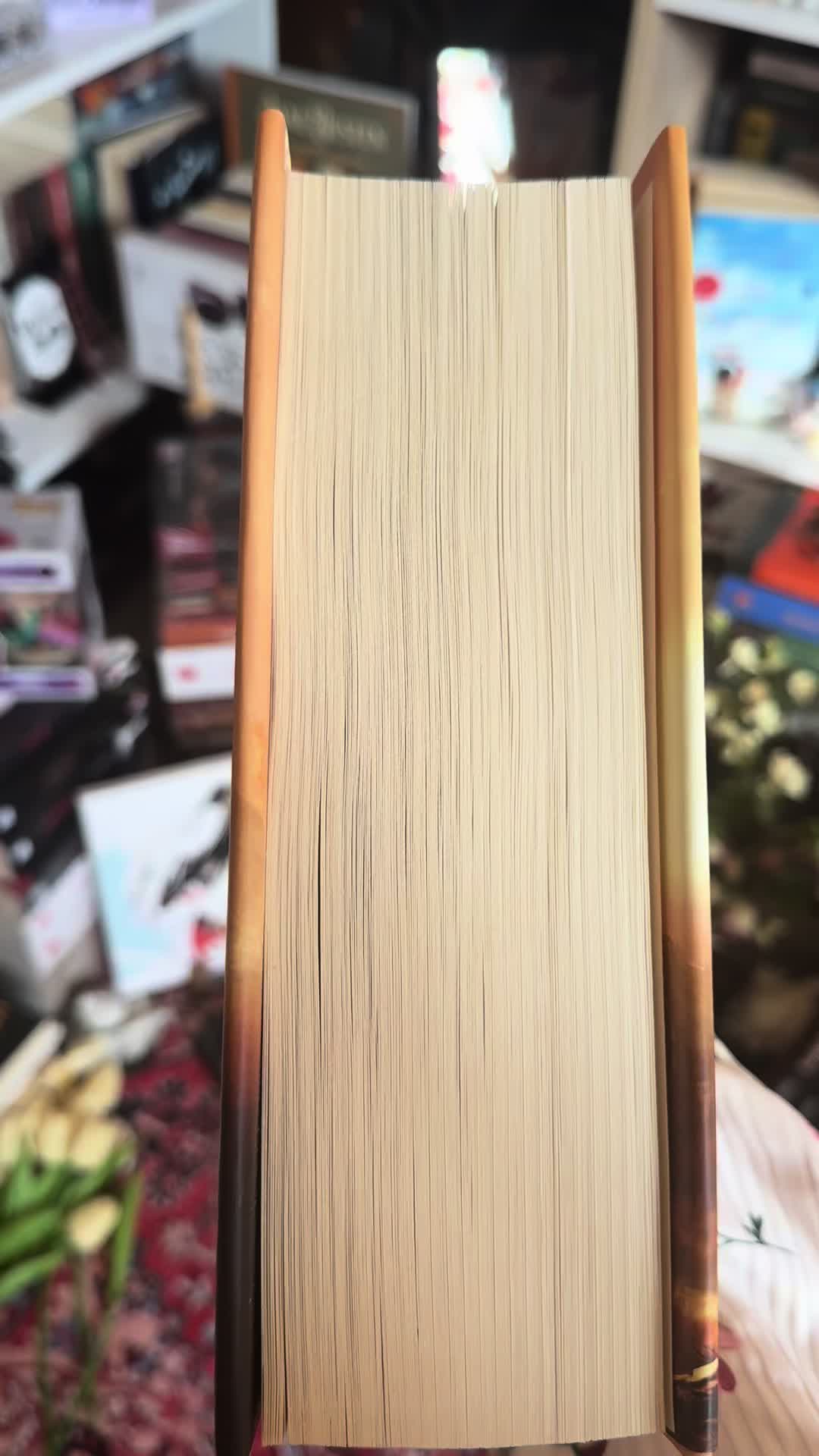 @Rena🪐༘⋆ᓭི༏ᓯྀ