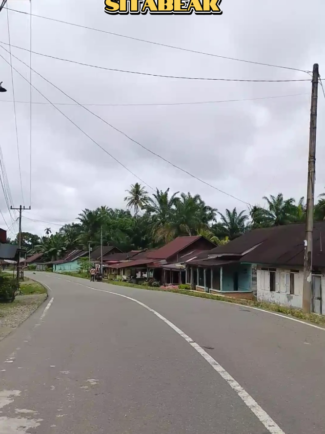 @Parsumbul Julu