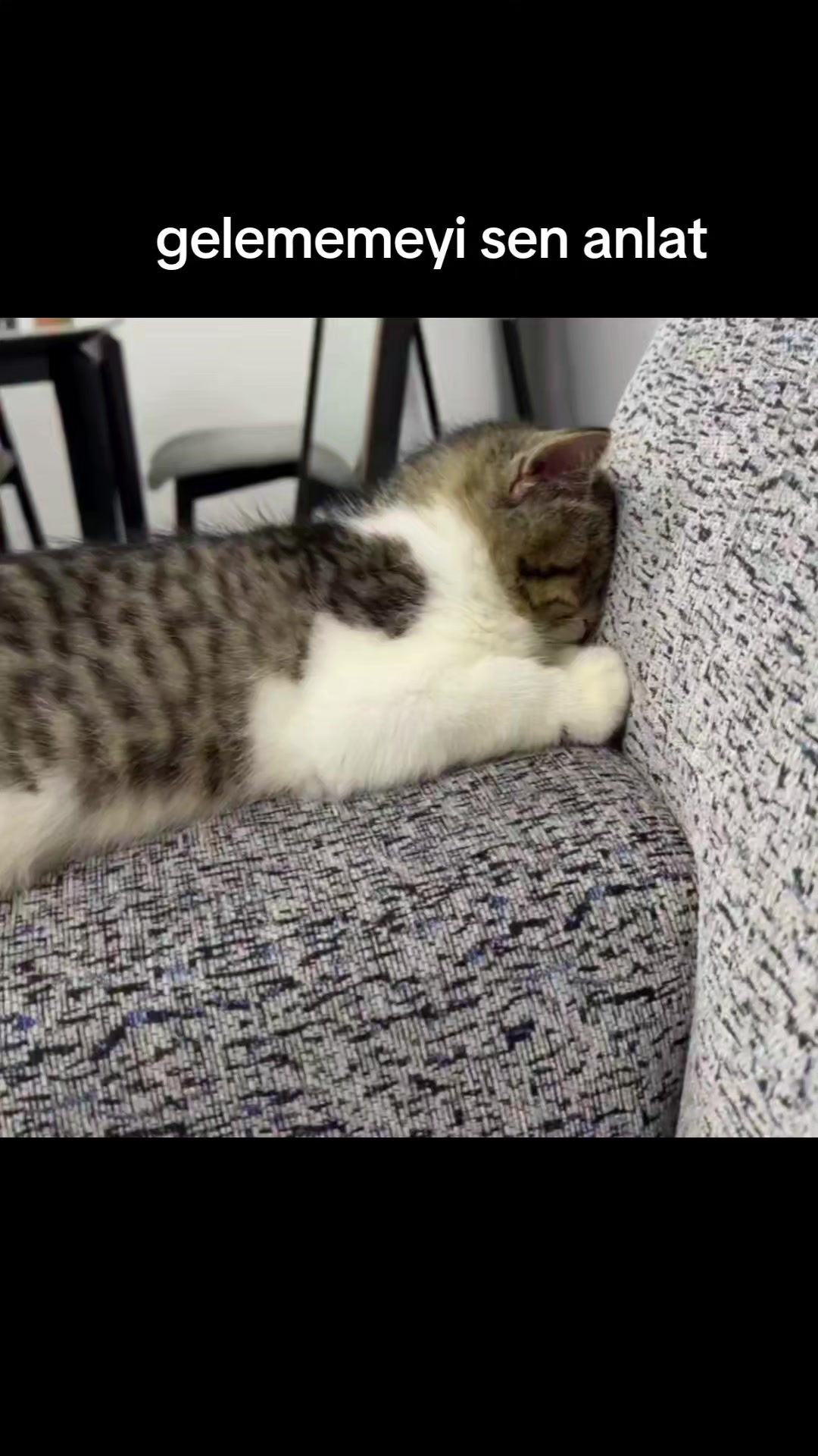 @gamzeli kızı 😊 minnoşlari