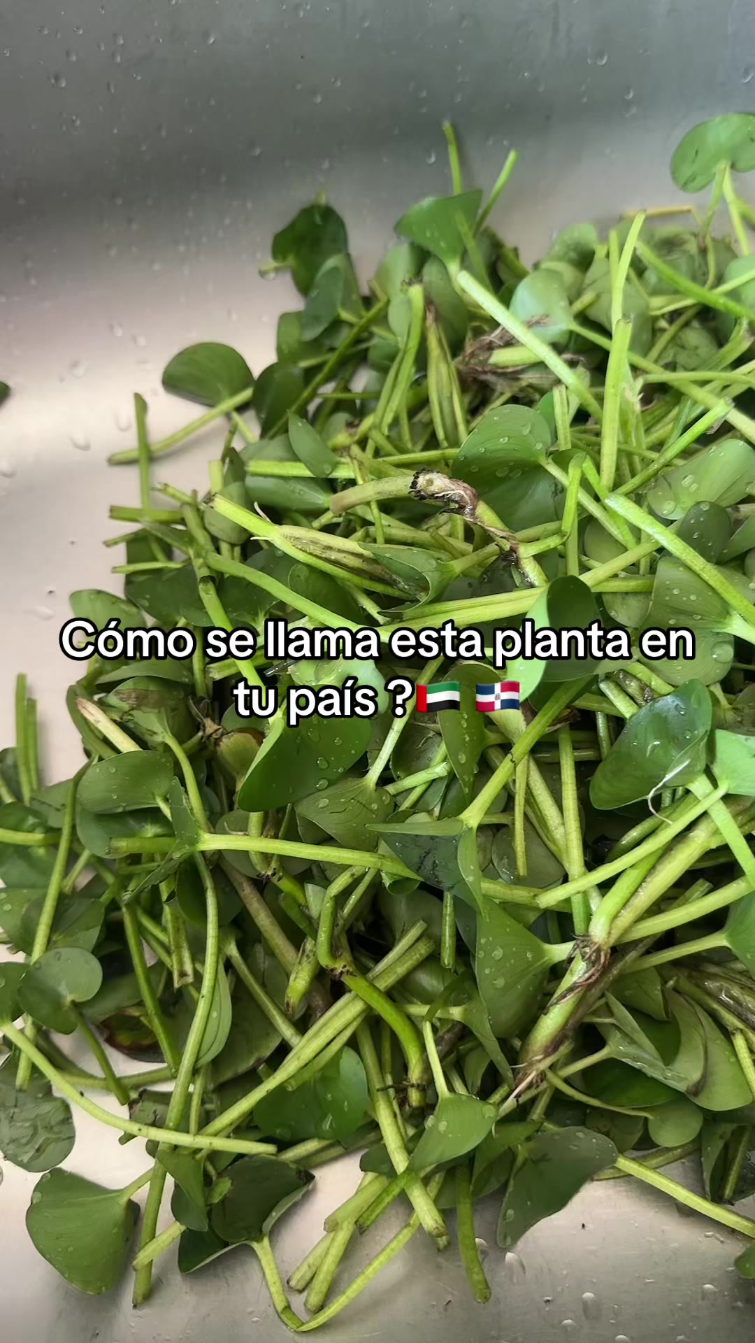 @Fanny susa&ntilde;a