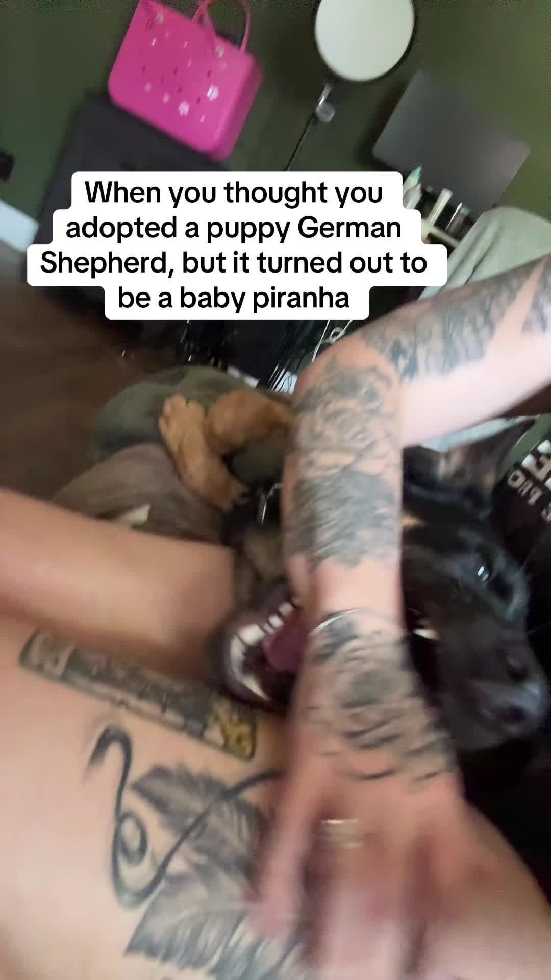 @italiancountrygirl23