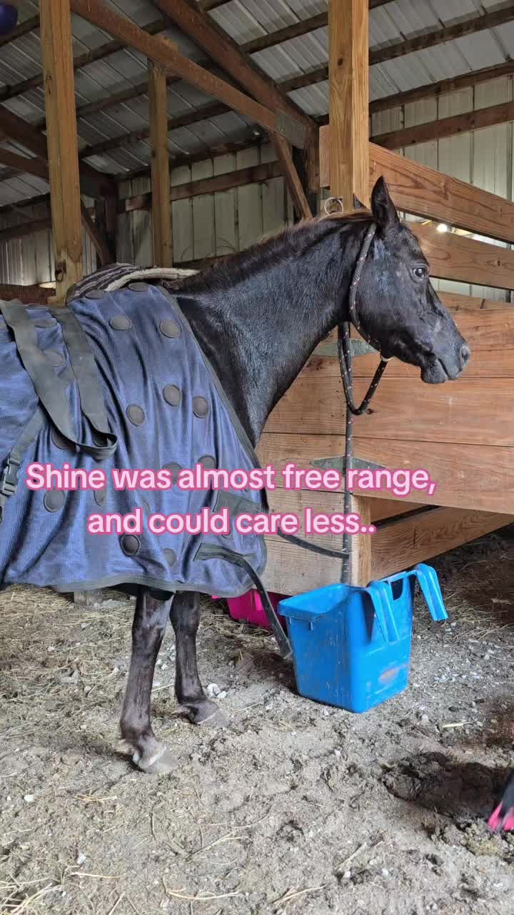 @Small Town Farm LLC