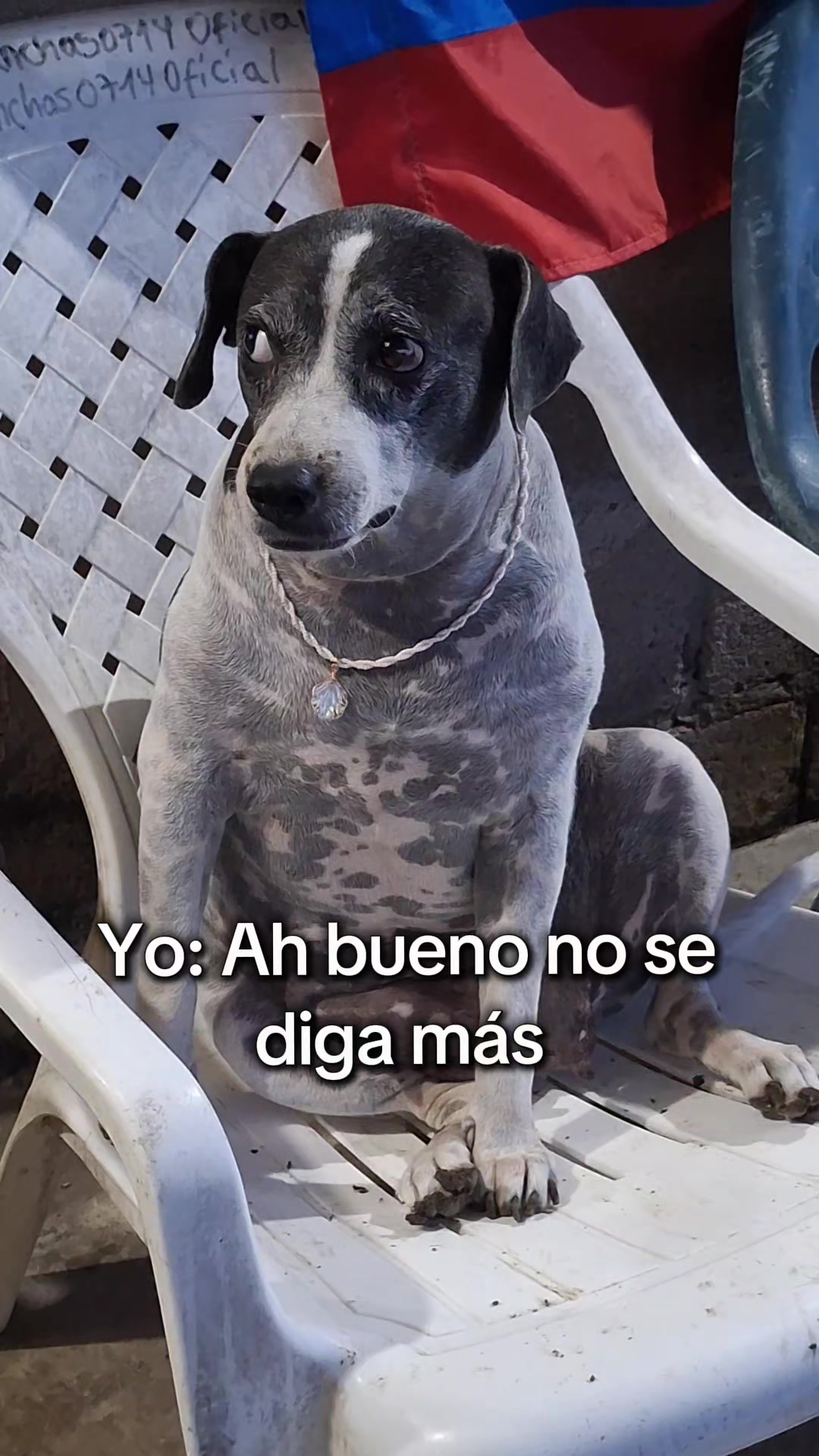 @MANCHAS 0714 OFICIAL