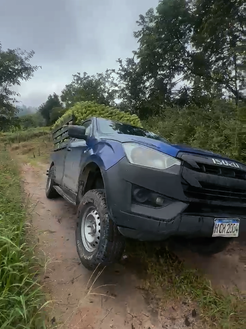 @Club Isuzu Dmax HN