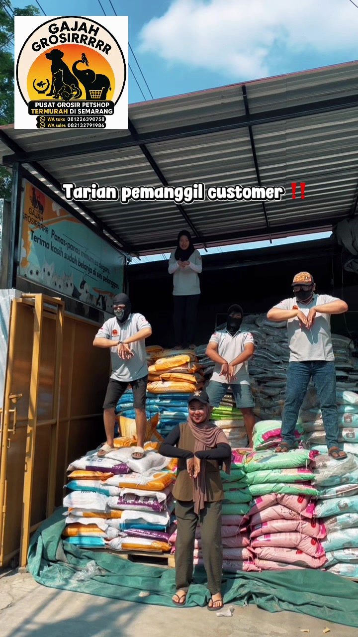 @Gajah Grosirrrrr