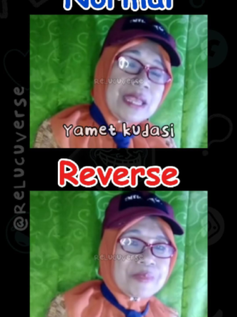@ReLucuVerse