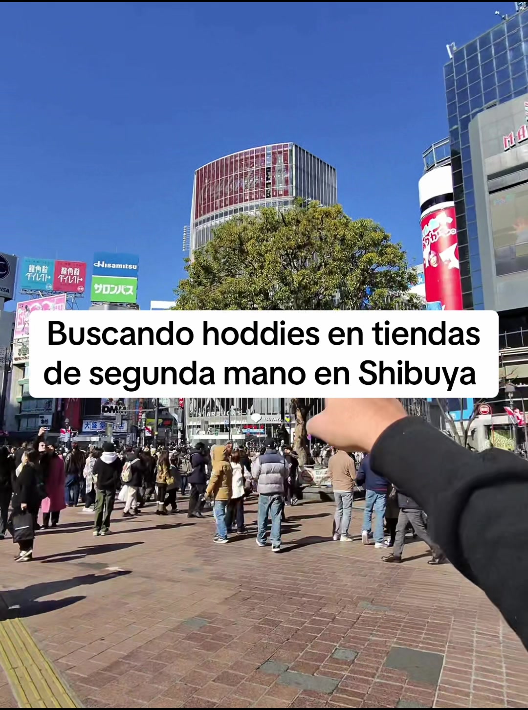 @travizbal