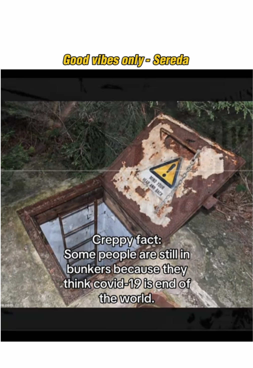 @Sereda