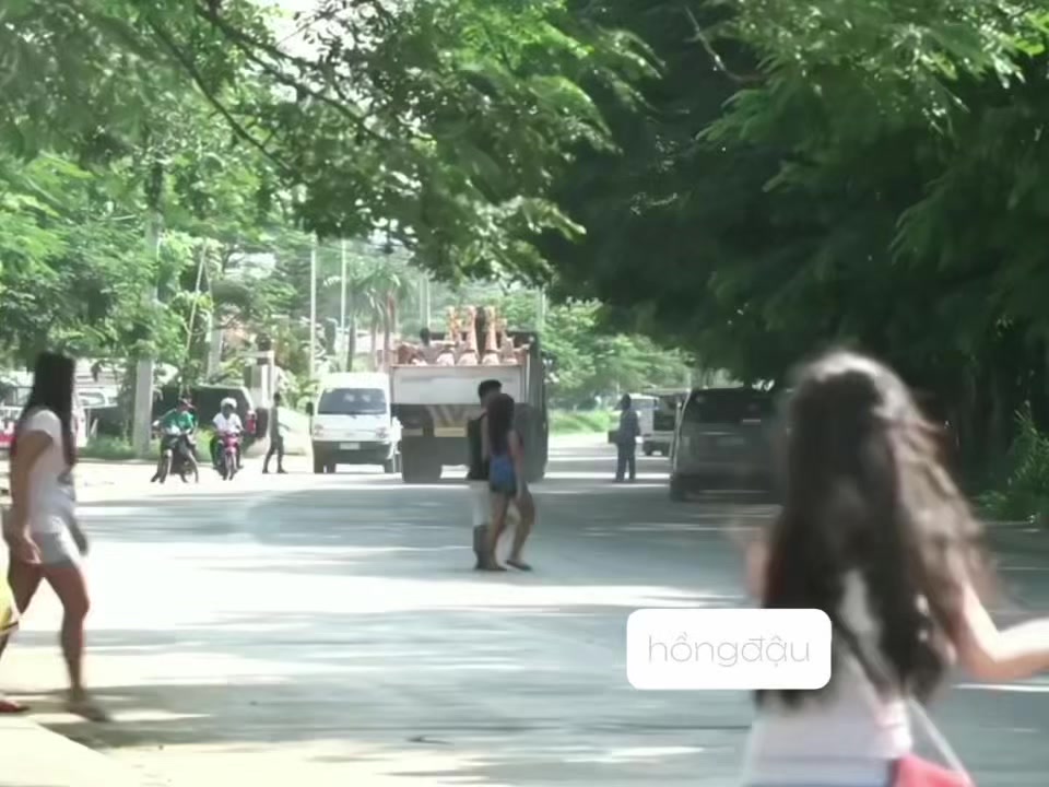 @Hồng đậu