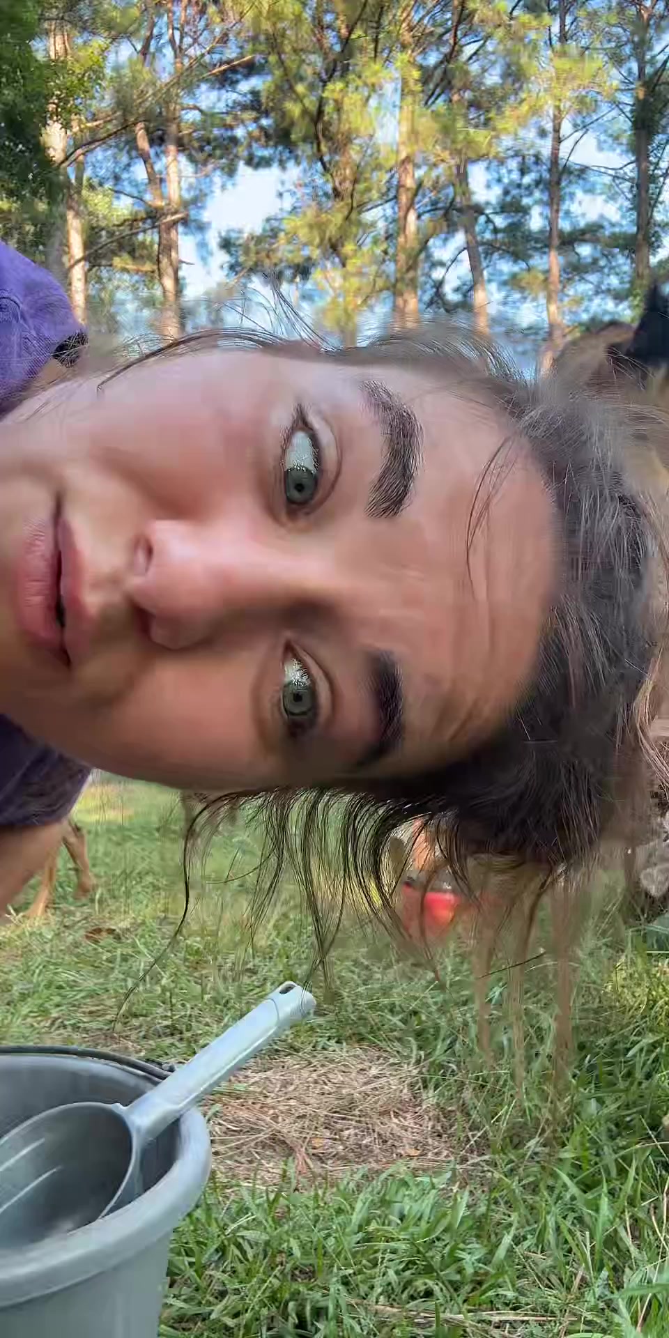 @Sierra_TSWFarms - 🐐🥛🐝