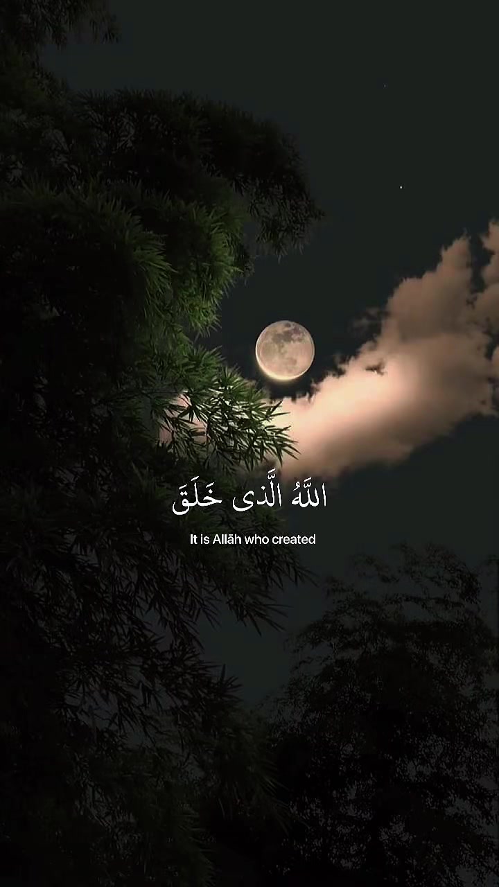 @. 𝕭𝖗𝖖 🇰🇼