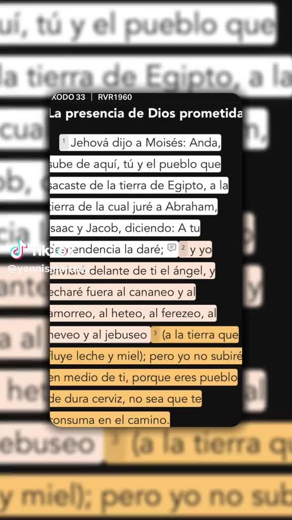 @Ingrid Rodas