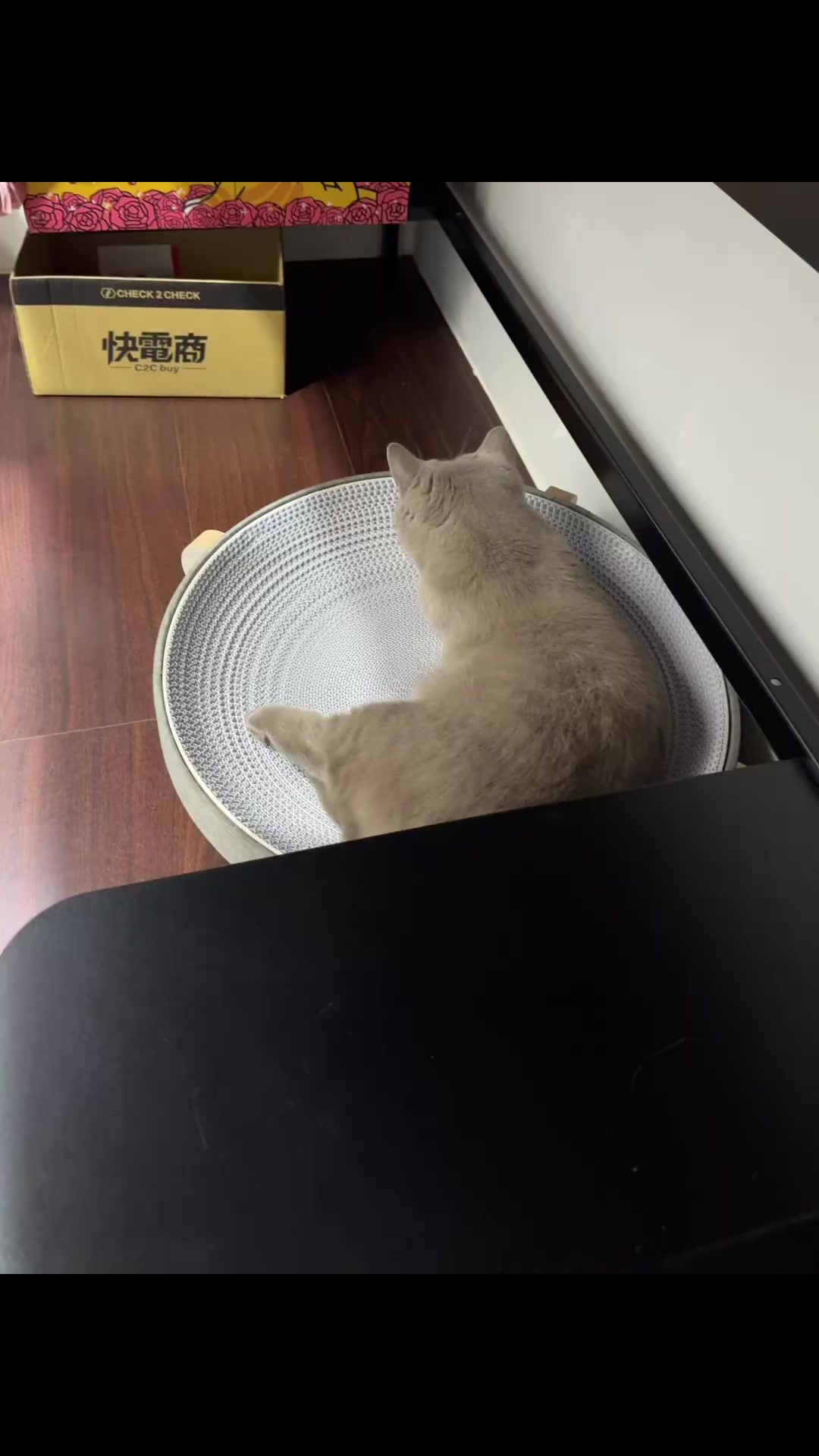@炭吉喵