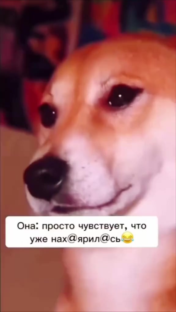 @🍀 Βαηδιτκα 86 региона🍀