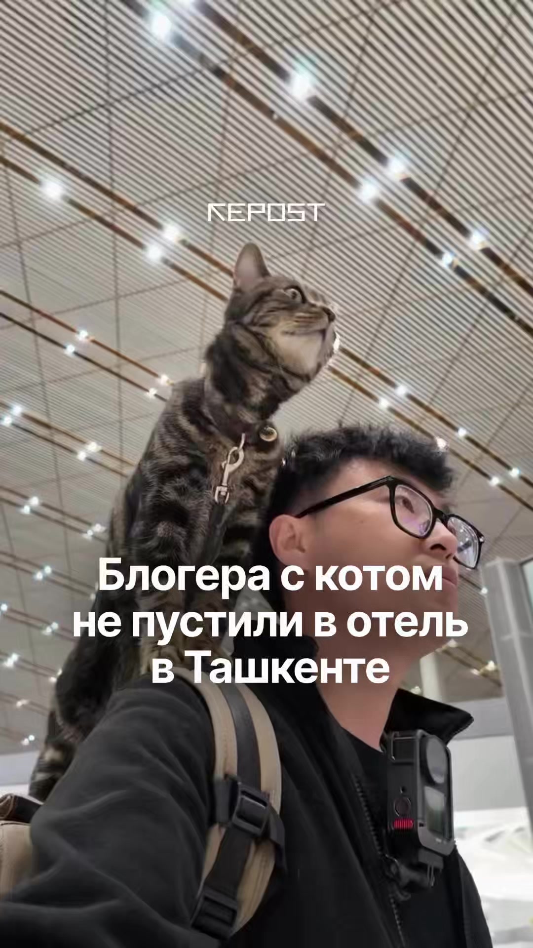 @Repost.uz