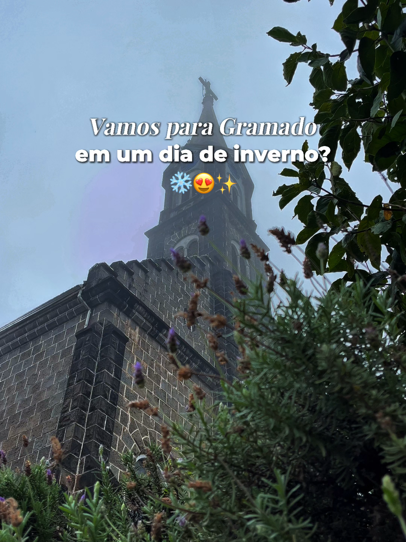 @La&ccedil;ador de Ofertas