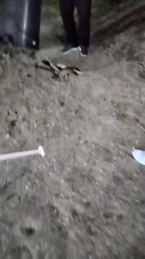 @ulaflores 💜