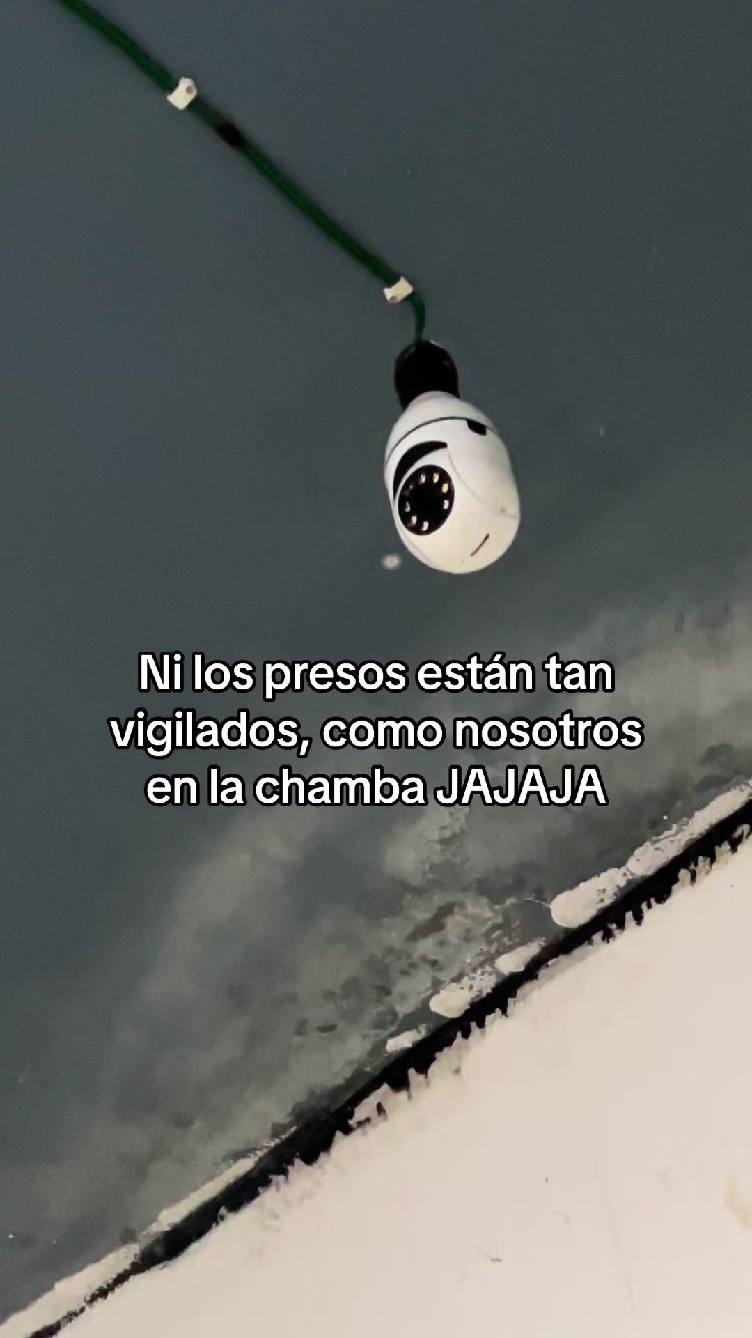 @Luis 🖤