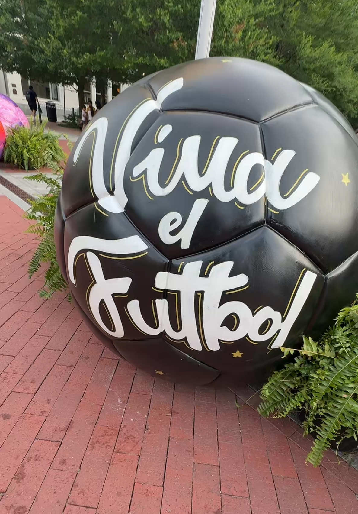 @✨Manda&reg;️dz✨