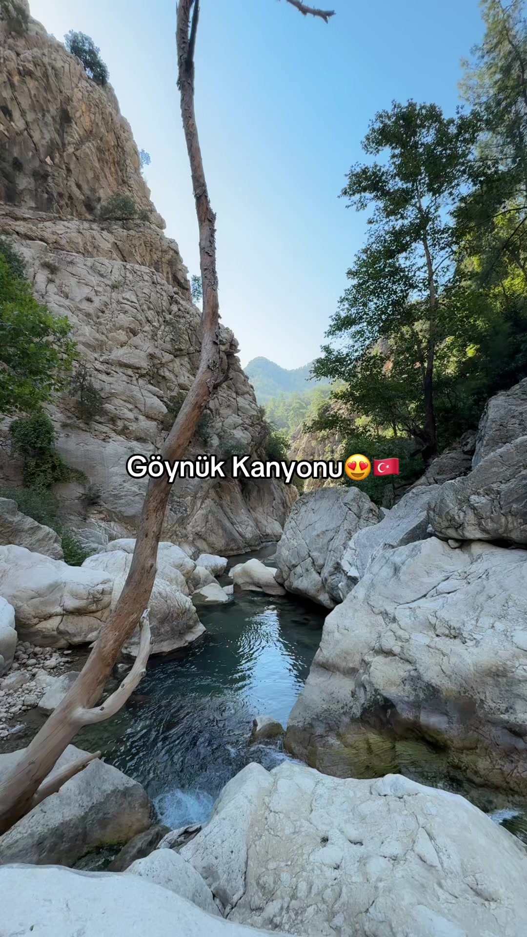 @arinika