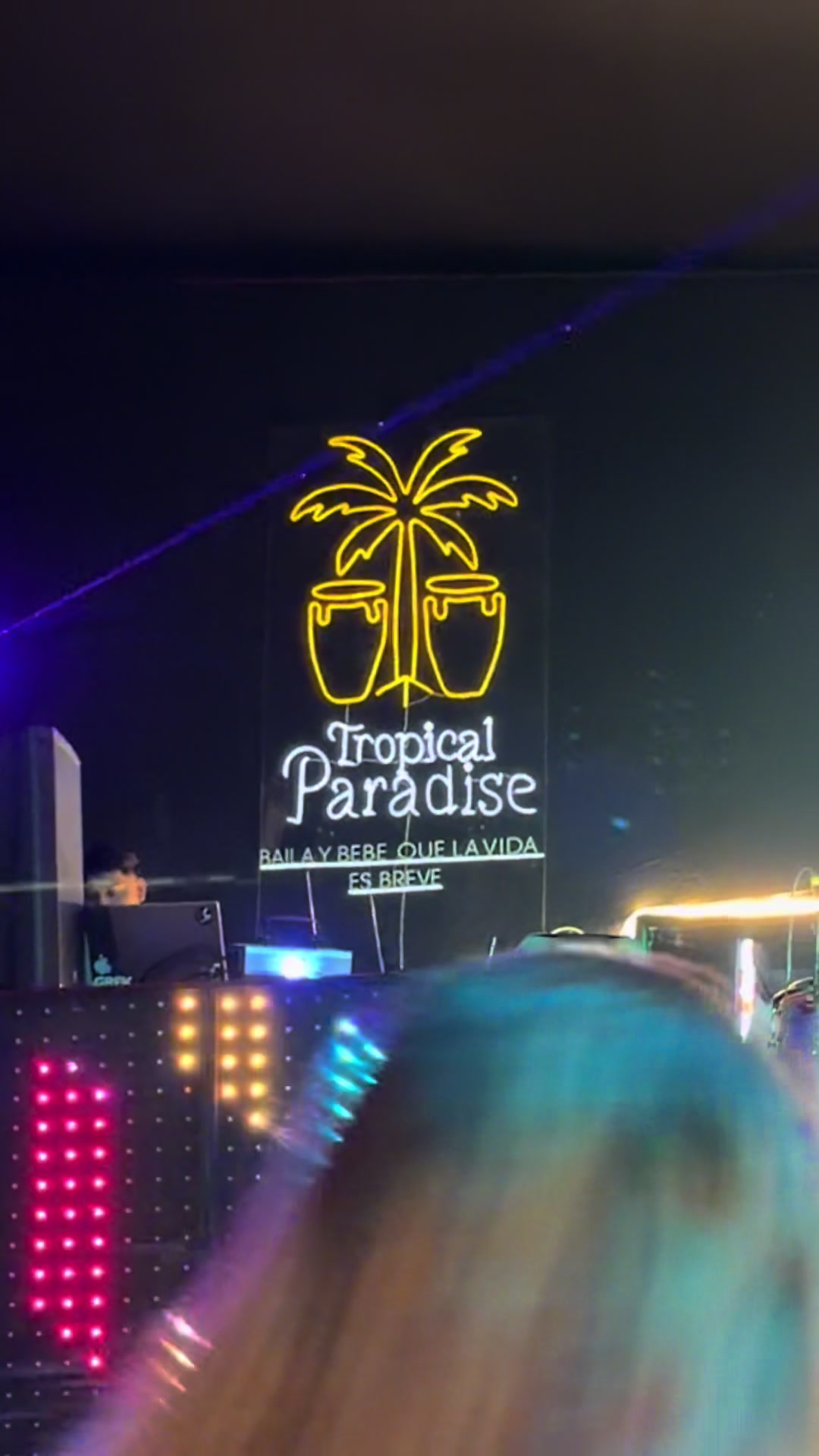 @Tropical Paradise