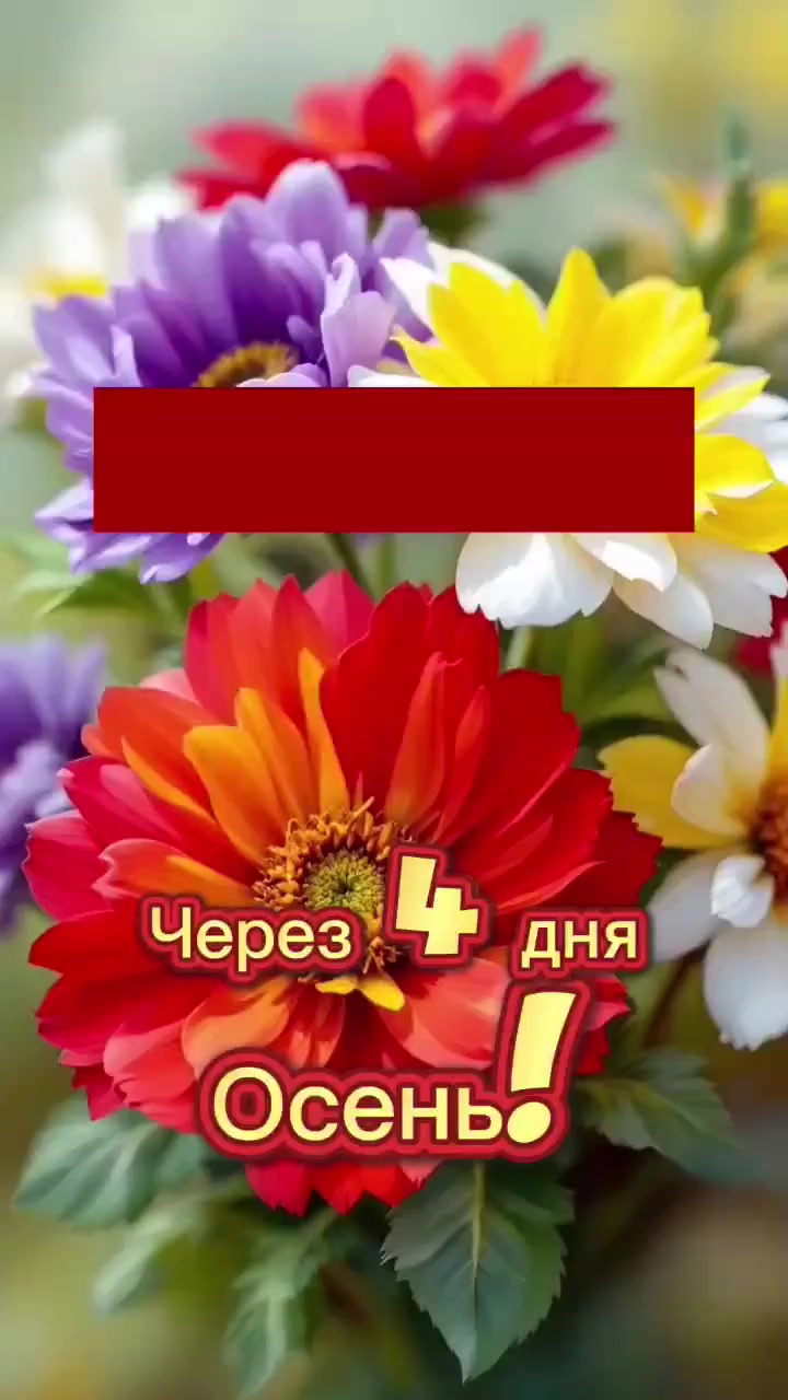 @Татьяна Курилина