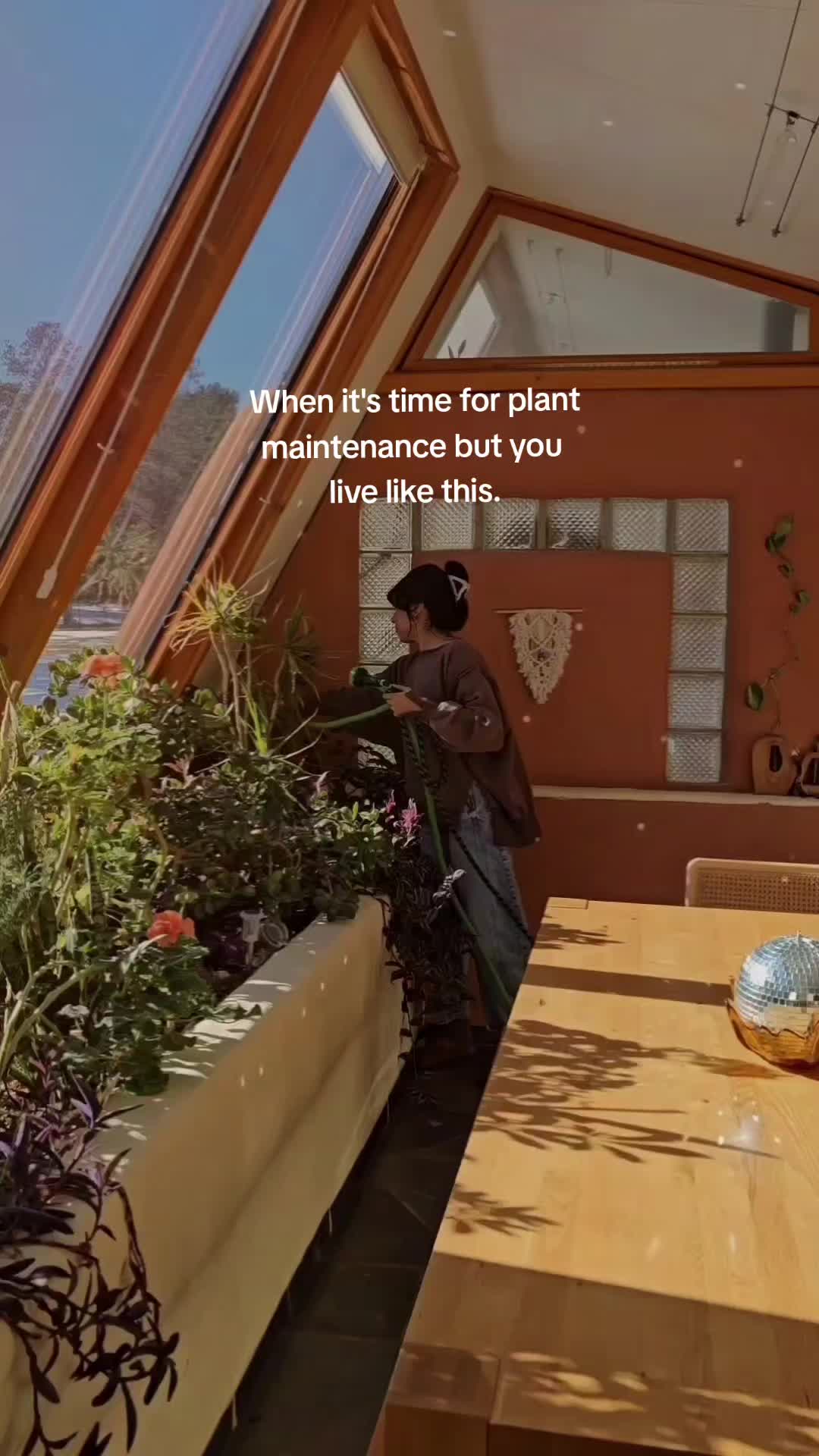 @Ari D