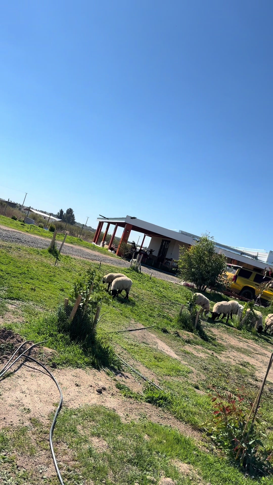 @Felipe miralles T&iacute;o Reycar