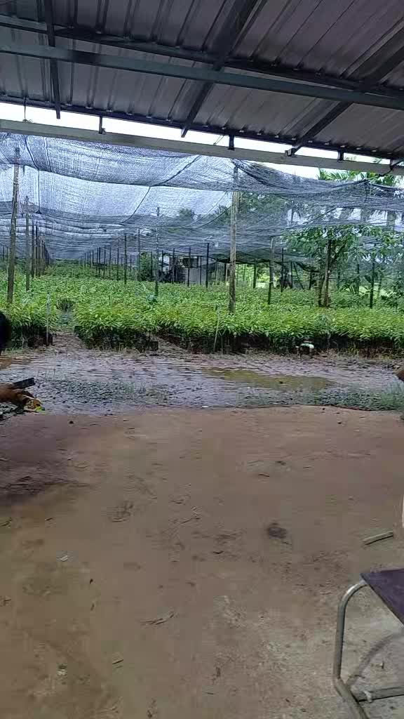 @ให้ทายกูใคร(12K)