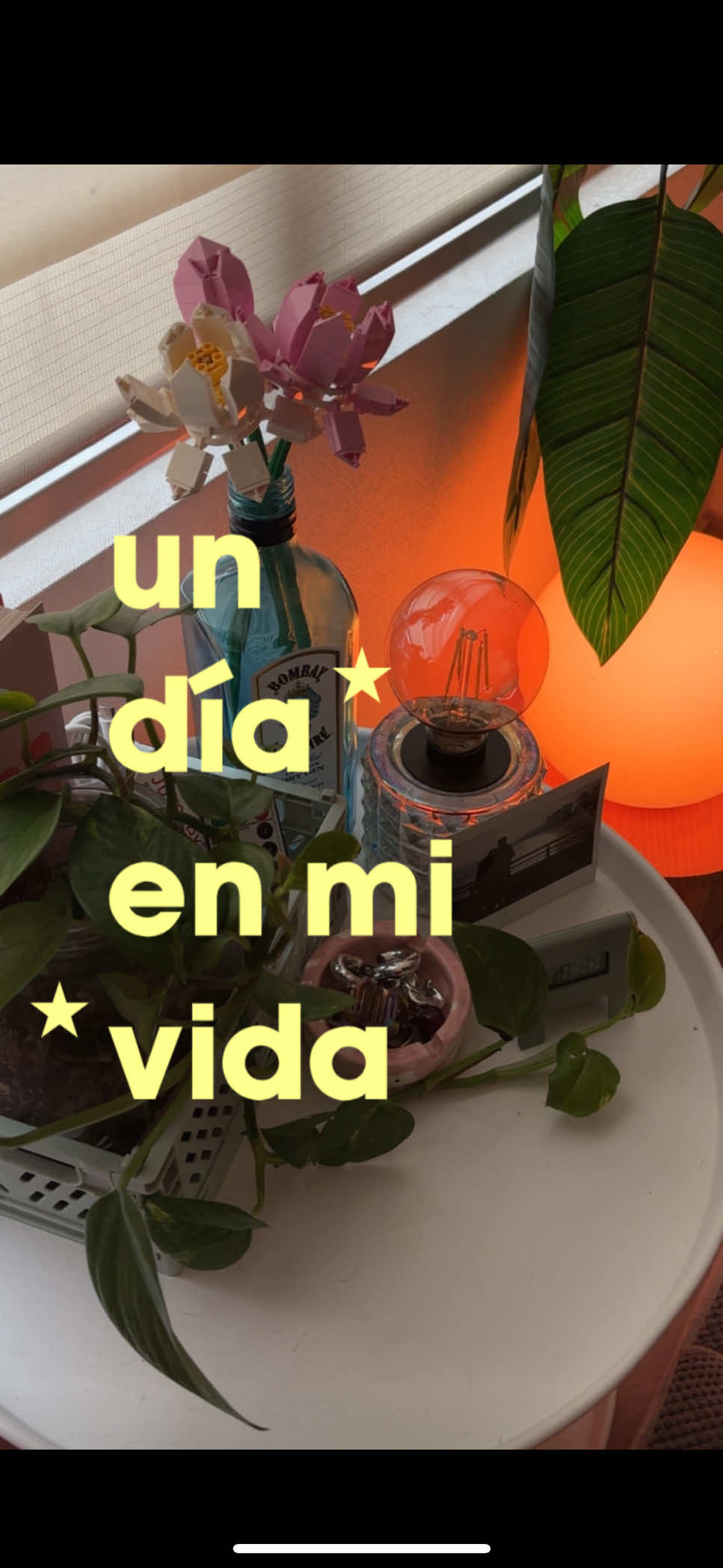 @catalina ⋆˚✿˖&deg; 𐙚