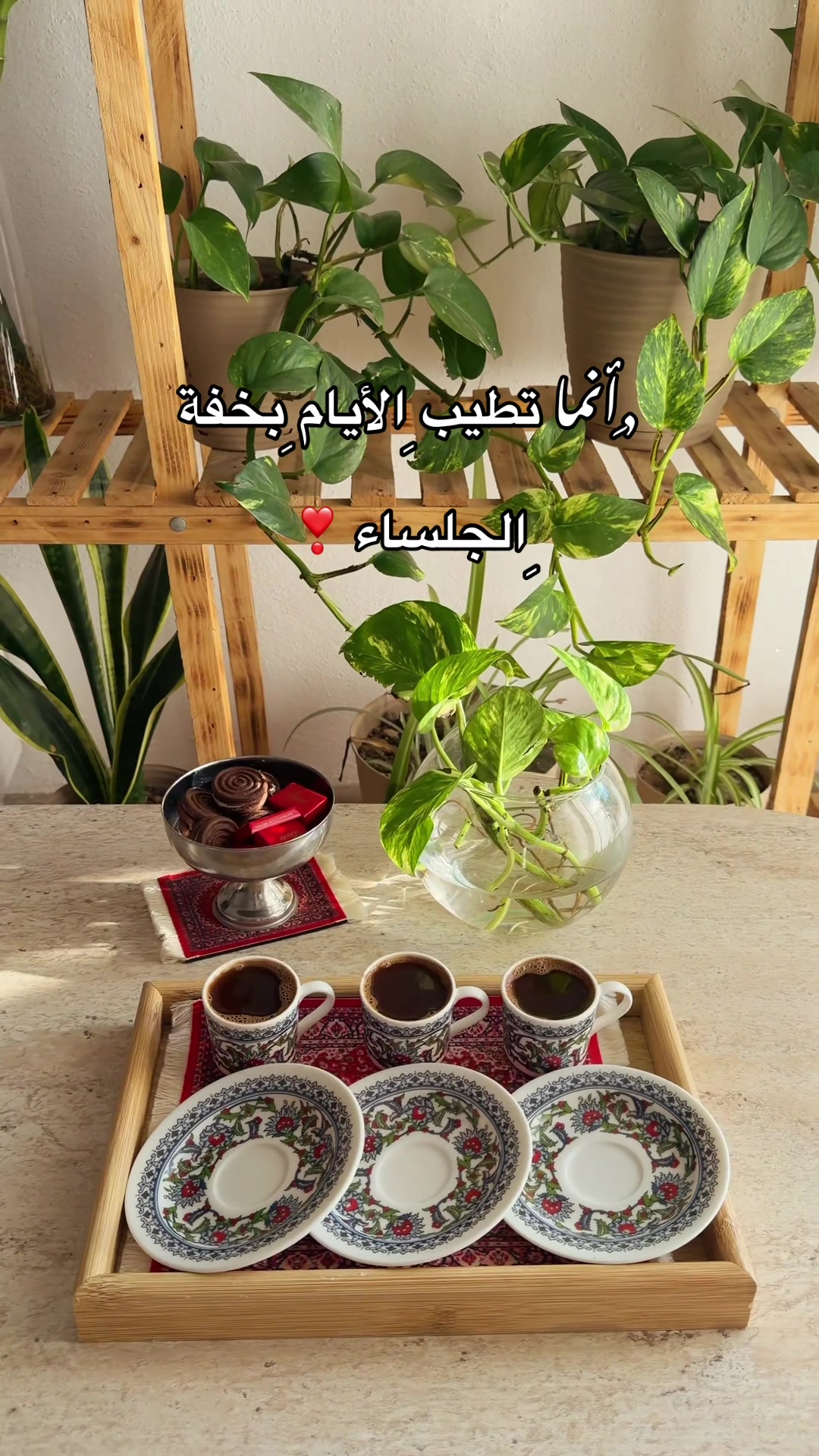 @🌱📸 𝐒𝐀𝐋𝐌𝐀_سلمى