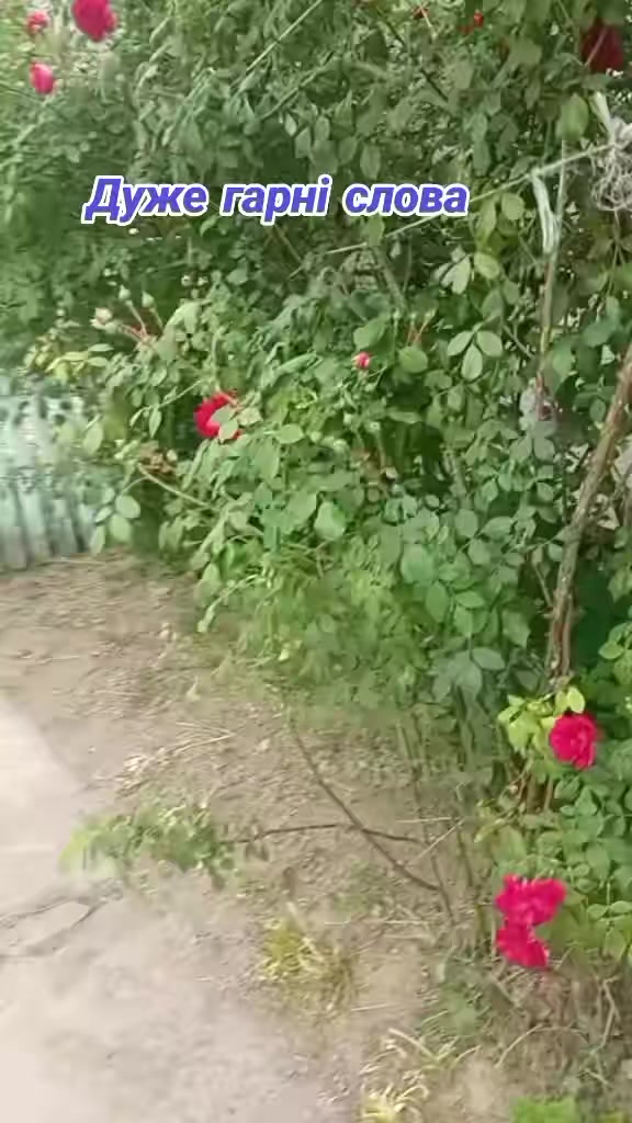 @💛❤Ксюшик💙💕