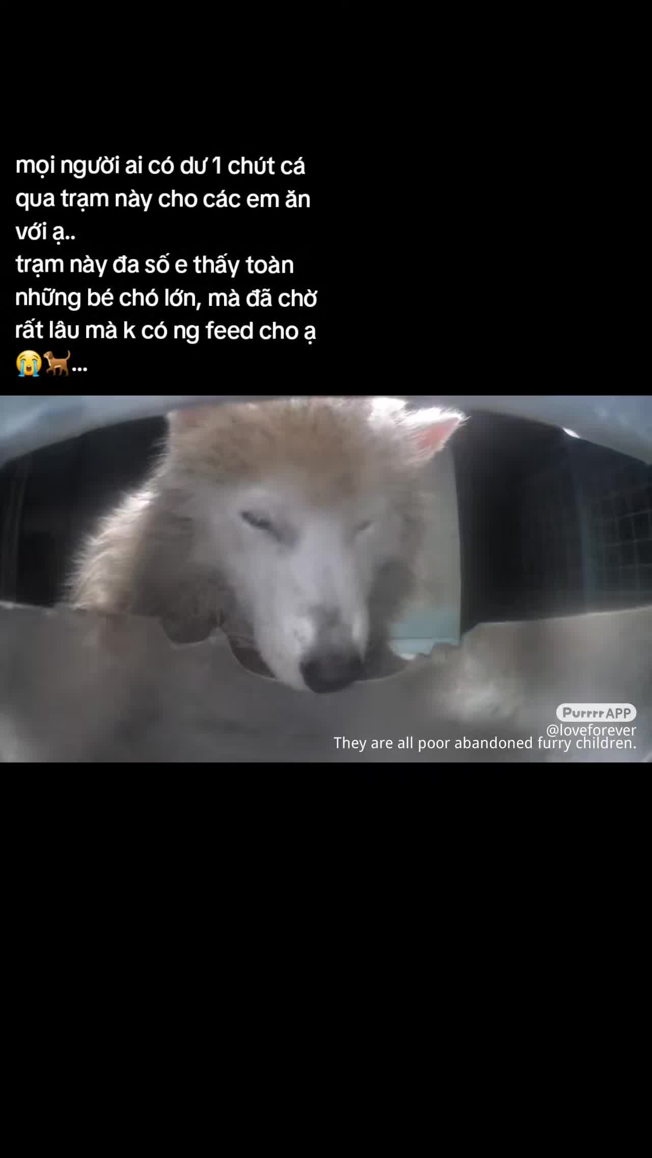 @loveforever