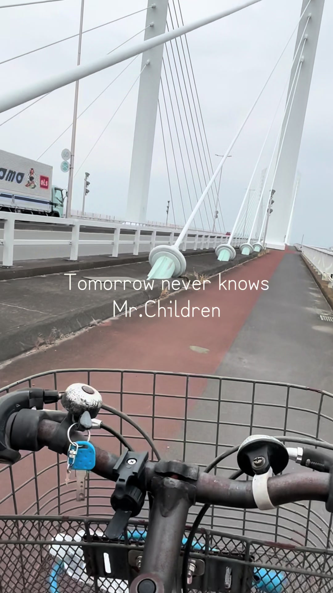@類斗