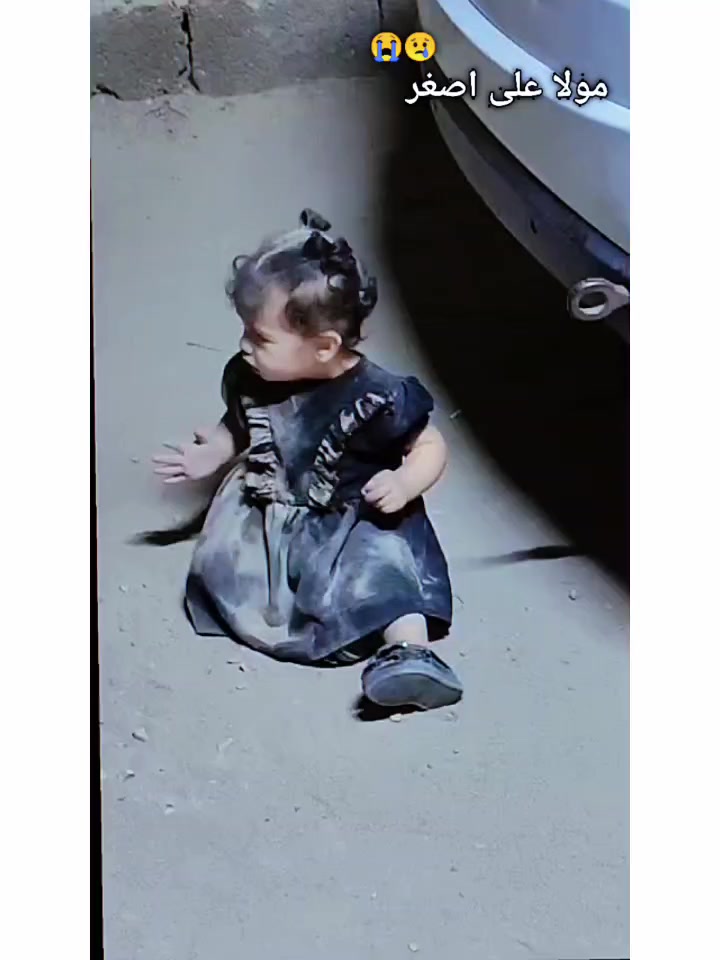 @پاشا شگری 804