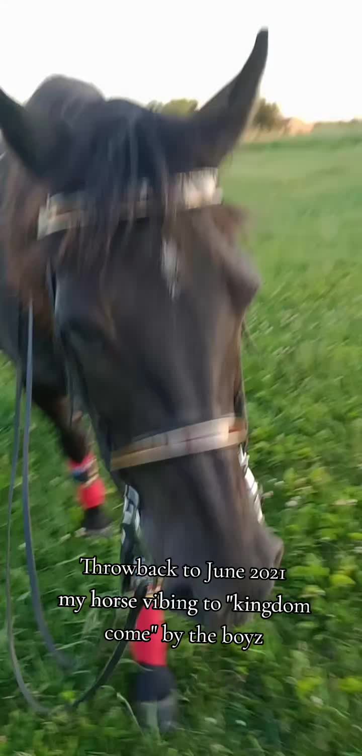 @Zen