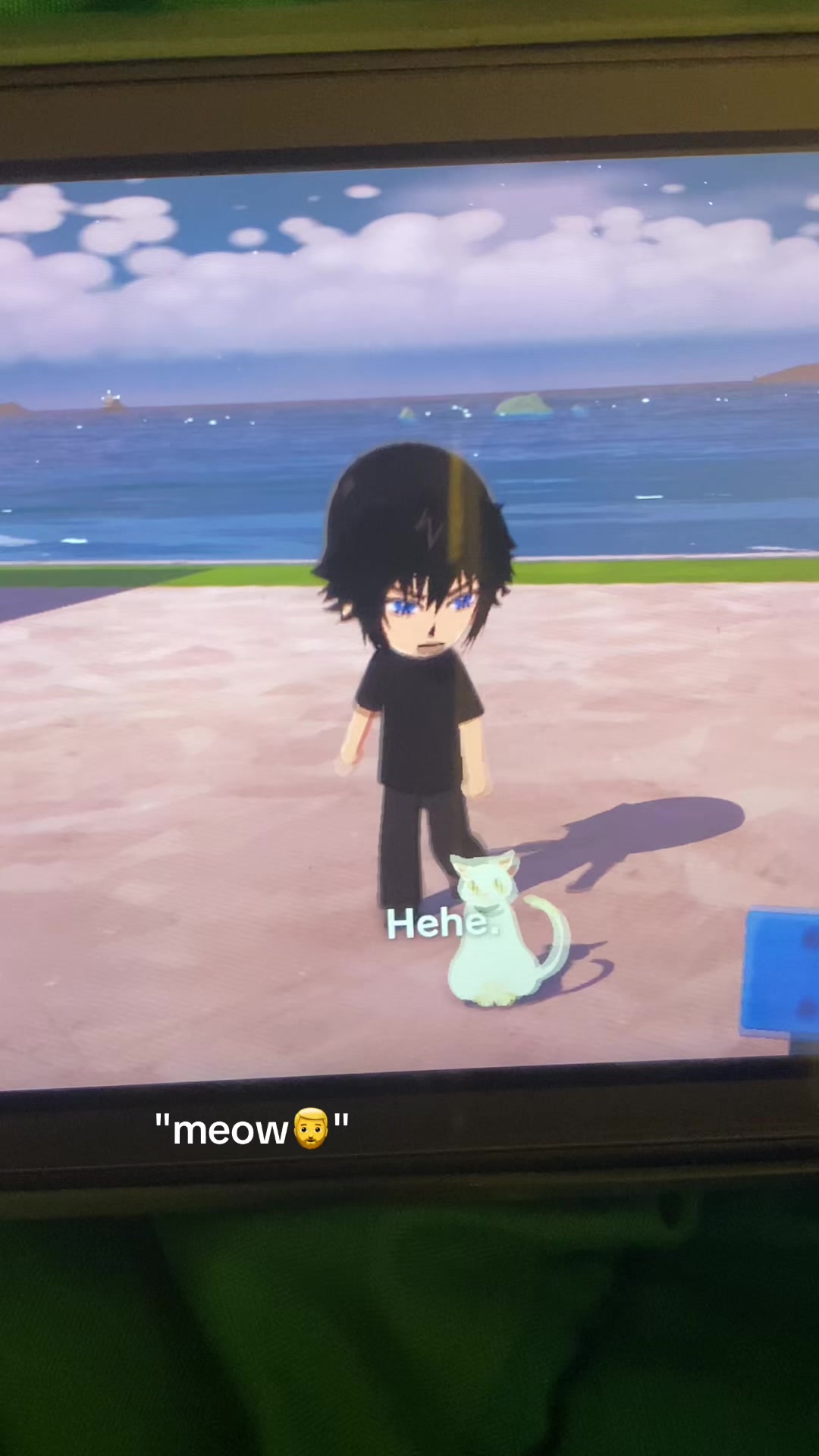 @︎🐈⬛