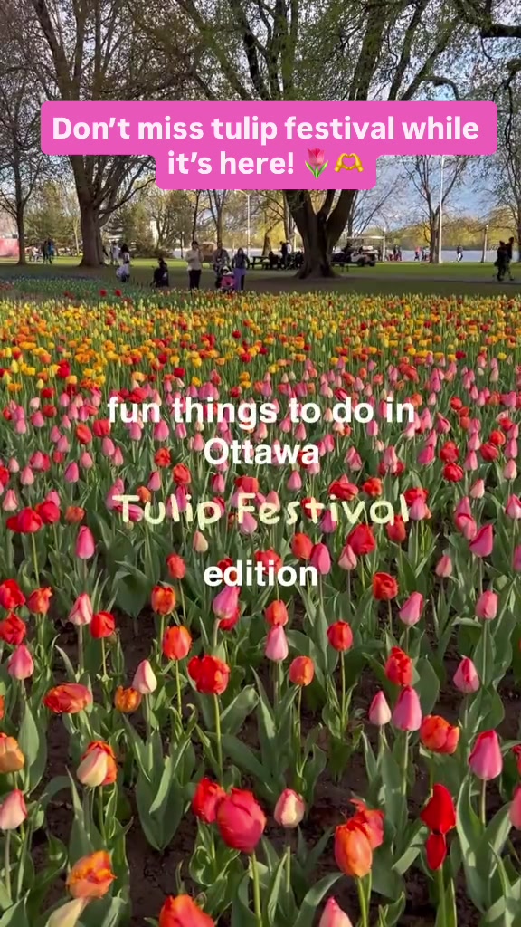 @girlsplansottawa
