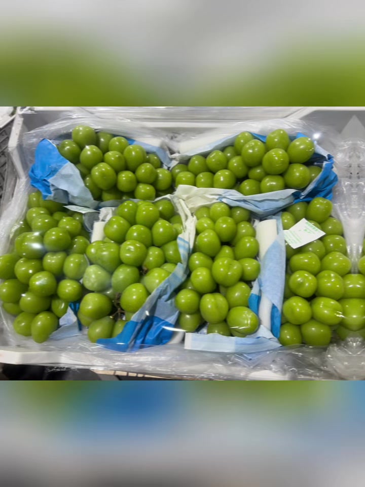 @🇦🇿_KazimoV_57_🇷🇺