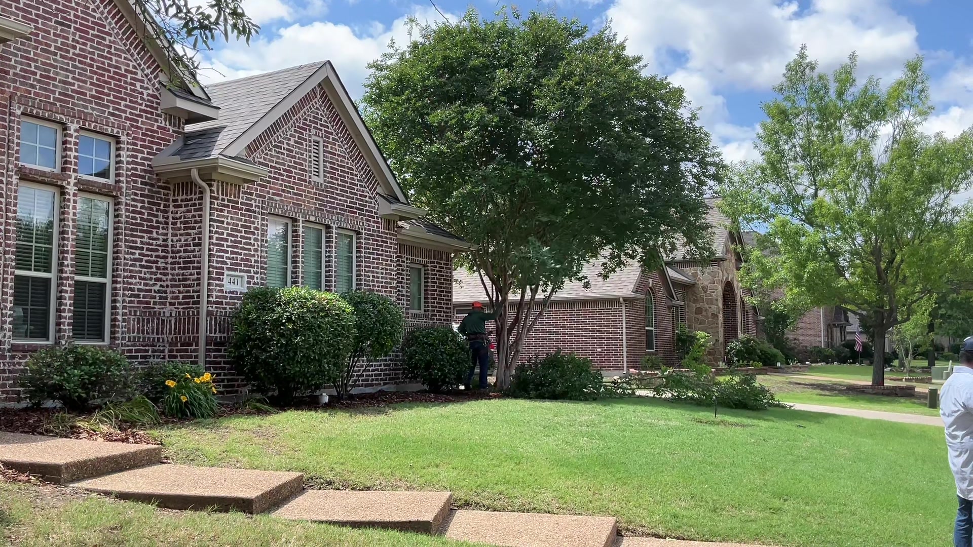 @Live Oak Tree Service