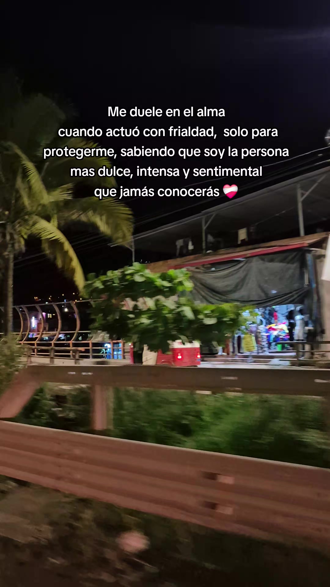 @Bela león 🦁