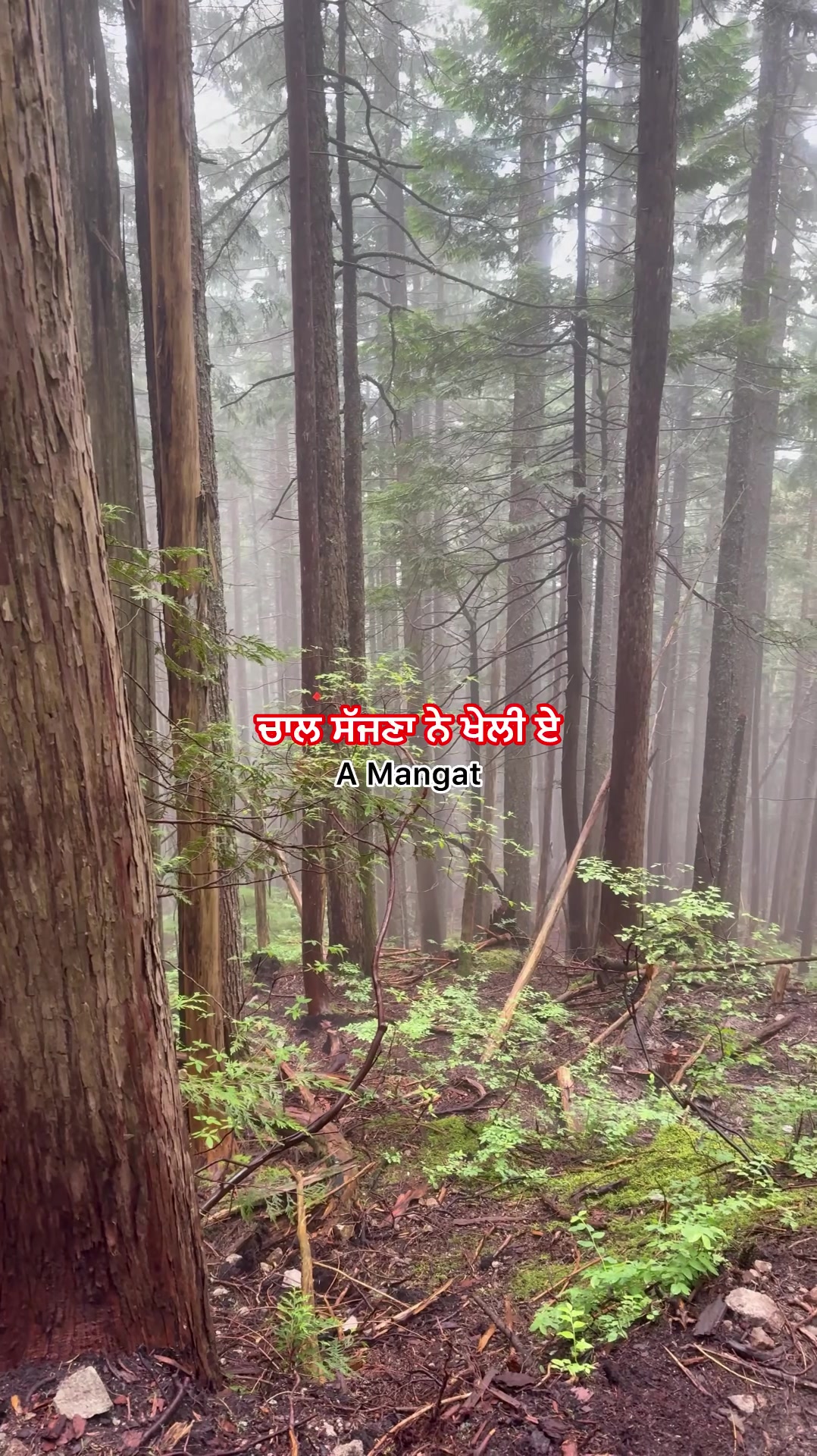 @A Mangat